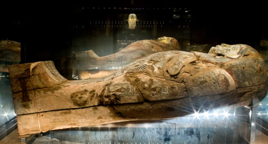 Archeological Museum in Krakow entrance tickets - Image 2